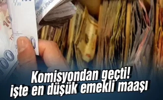 Komisyondan geçti: En düşük emekli maaşı 3 bin 500 TL olacak