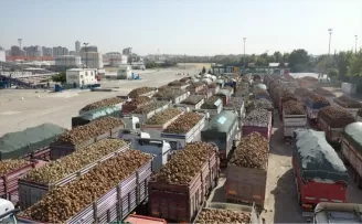 Konya Şeker'den 149 milyon 808 bin TL pancar söküm avansı