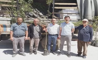 Laçin’de üreticilere Trabzon hurması fidanı dağıtıldı