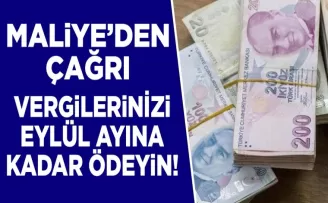 Maliyeden çağrı! Vergilerinizi eylüle kadar ödeyin