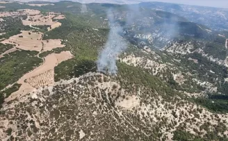 Manisa'nın Kula ilçesinde orman yangını çıktı