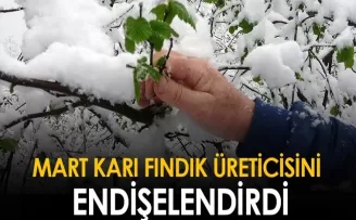 Mart karı fındık üreticisini endişelendirdi