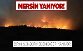 Mersin’de orman yangını