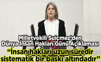 Milletvekili Sibel Suiçmez’den Dünya İnsan Hakları Günü Açıklaması
