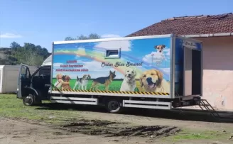 Mobil kısırlaştırma aracı Araç ilçesinde hizmet veriyor