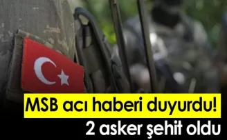 MSB acı haberi duyurdu! 2 asker şehit oldu