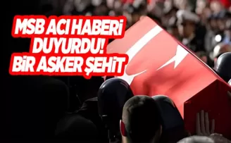 MSB acı haberi duyurdu! Bir asker şehit
