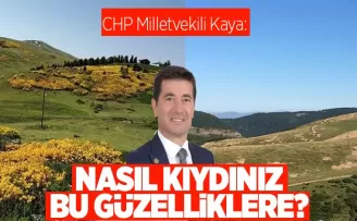 Nasıl Kıydınız bu güzelliklere...