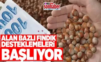 Ödeme tarihleri belli oldu. Alan bazlı gelir desteği ödemeleri