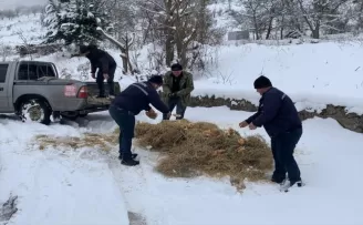 Oğuzlar'da yaban hayvanları için doğaya yem ve ot bırakıldı