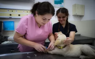 OMÜ Hayvan Hastanesi’nde 6 ayda yaklaşık 18 bin hayvan tedavi edildi