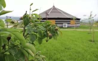 Ordu’da 4 yılda 2 milyonu aşkın bitki toprakla buluşturuldu