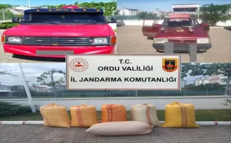 Ordu'da fındık ve kablo hırsızlığı yapan 7 şüpheli yakalandı