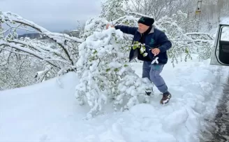 Ordu’da kar ve soğuk hava sonrası fındıkta hasar tespitine başlandı