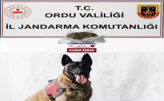 Ordu’da otomobilinde uyuşturucu bulunan şüpheli yakalandı