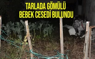 Ordu'da tarlada toprağa gömülü bebek cesedi bulundu