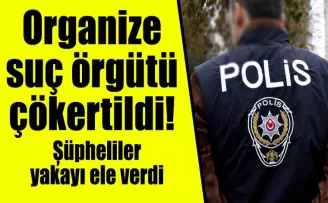 Organize suç örgütü çökertildi! Şüpheliler yakayı ele verdi