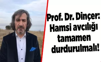 Prof. Dr. Dinçer: Hamsi avcılığı tamamen durdurulmalı!