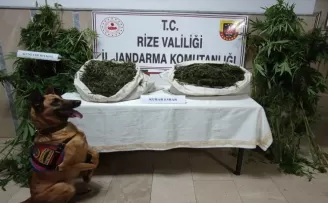 Rize'de 22 kilogram esrar ele geçirildi, 3 şüpheli yakalandı