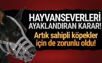 Sahipli köpeklerin tümüne ağızlık zorunluluğu getirildi