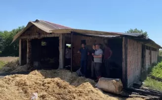 Samsun’da ahırda çıkan yangında 14 büyükbaş hayvan telef oldu