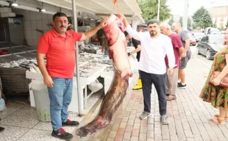 Samsun’da baraj gölünde 94 kilogramlık yayın balığı yakalandı