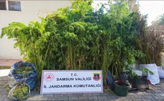 Samsun’da düzenlenen operasyonda 11 kilogram kubar esrar ele geçirildi