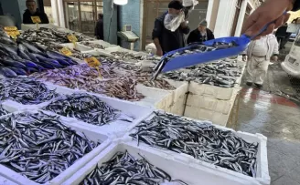 Samsun'da hamsi 25-30 liradan satışa sunuluyor