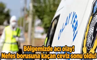 Samsun’da nefes borusuna kaçan ceviz sonu oldu!