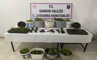 Samsun’da uyuşturucu operasyonunda 1 kişi yakalandı