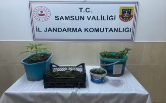 Samsun’da uyuşturucu operasyonunda 1 zanlı yakalandı