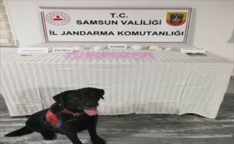 Samsun’da uyuşturucu operasyonunda bir zanlı tutuklandı