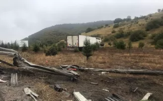 Samsun’da yoldan çıkan tır ağaçlara çarparak durdu