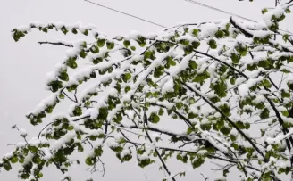 Samsun’un ilçelerinde kar yağışı