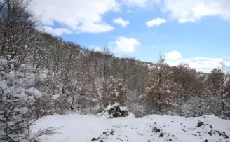 Samsun ve çevre illerde kar yağışı etkili oldu