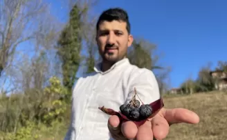 Şehir stresinden kaçan çift, dededen kalma arazide aronya yetiştiriyor