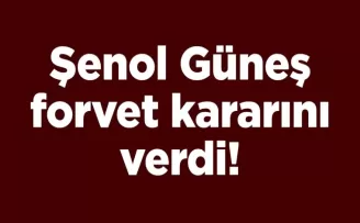 Şenol Güneş forvet kararını verdi!