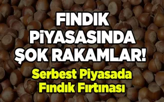 Serbest Piyasada Bugün Fındık Fırtınası