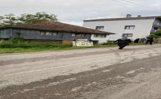 Sinop’ta devrilen hafif ticari araçtaki 2 kişi yaralandı