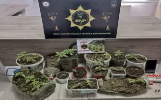 Sinop’ta uyuşturucu operasyonunda yakalanan zanlı tutuklandı