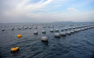 Sinop'taki midye tesislerinde yıllık 5 bin ton dolayında üretim hedefleniyor