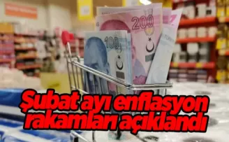 Şubat ayı enflasyon rakamları açıklandı