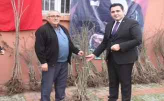 Taşova’da kiraz ve kuşburnu fidanı dağıtıldı
