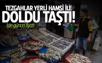 Tezgahlar yerli hamsi ile doldu taştı
