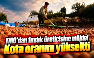 TMO’dan fındık üreticisine müjde! Kota oranını yükseltti