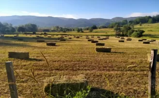 Tokat’ın yüksek kesimlerinde ot hasadına başlandı