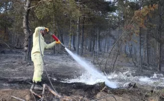 Tokat'ta çıkan orman yangını kontrol altına alındı