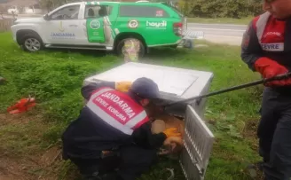 Tokat'ta yaralı köpek tedavi altına alındı
