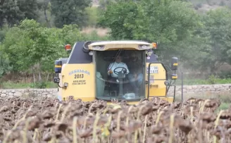 Tokat Valisi Numan Hatipoğlu ayçiçeği hasadı yaptı