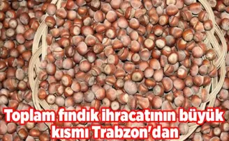 Toplam fındık ihracatının büyük kısmı Trabzon’dan